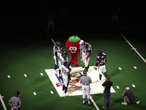 Coin Toss