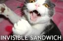 Invisible Sandwich!