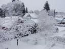 My backyard, part 1