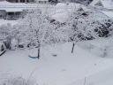 My back yard, part II